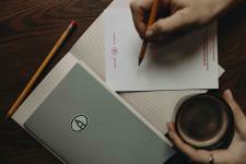 Estelle THAUVY - ESTELLE THAUVY