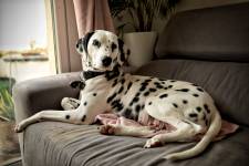 Laëtitia FUCHS - LYON EYE'S PHOTOGRAPHY